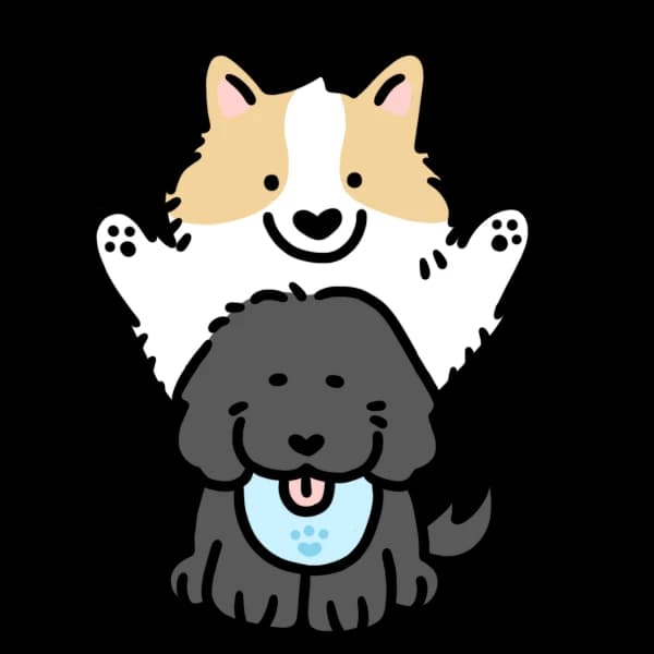 Pawdora